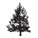 INTEGRATED DISTRIBUTION